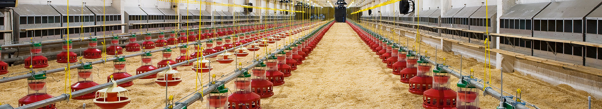 poultry facility