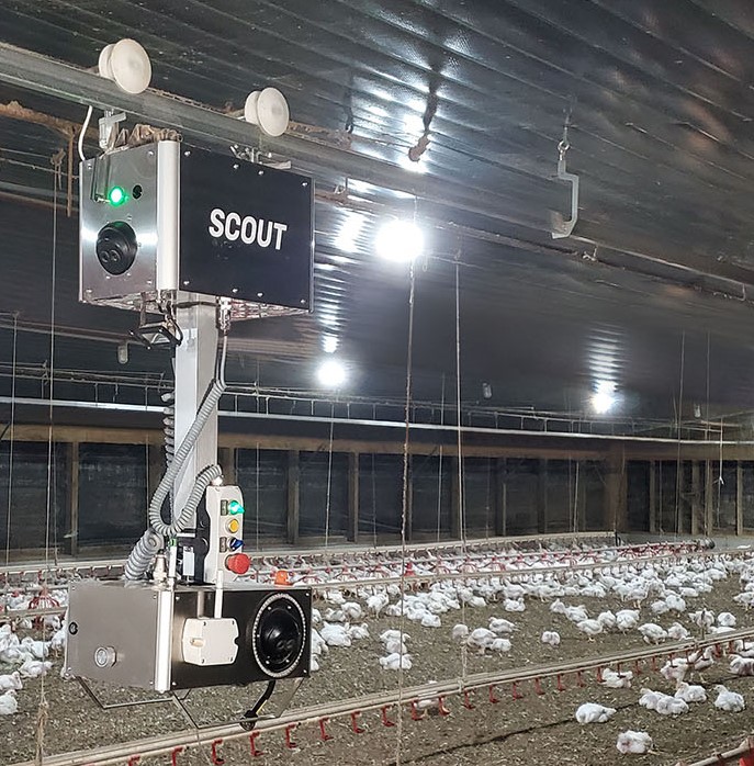 Scout CumberlandPoultry robot photo